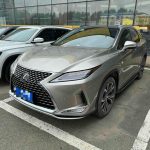 Lexus RX 2020 Модифицированный 300 4WD Elegant Edition