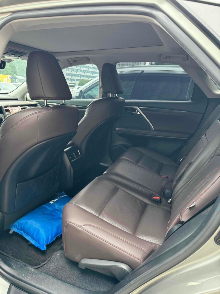 Lexus RX 2020 Модифицированный 300 4WD Elegant Edition - Huishida Trading
