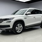 Skoda Kodiaq 2020 модельного года TSI330 5-местный с передним приводом, версия Luxury Premium