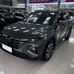 Hyundai Tucson L  2021 Tucson L 1.5T DCT GLX Elite