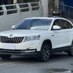 Skoda Kamiq  2022 1.5L Automatic Comfort Edition