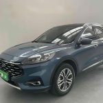 Ford ESCAPE  2020 245 4WD Yiu Hei Model