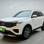 Kia SPORTAGE  2021 Ace 2.0L Wonderful Edition