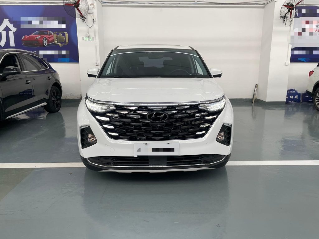 Hyundai CUSTO 2021 Model 380TGDi Smart Love Flagship Edition TOP Premium - Huishida Trading