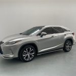 Lexus RX  2020 модельного года Facelift 300 4WD Elegance Edition