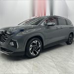 Custo 2021 270TGDi Prestige Edition LUX