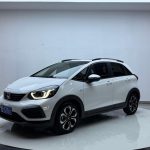 Honda Fit  2021 года  1,5 л CVT Trend Max Edition