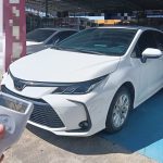 Corolla Модель 2021 года 1.2T S-CVT Elite PLUS Edition