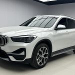 BMW X1 2022 sDrive20Li Luxury Edition