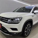 TAYRON 2022 330TSI All-Wheel Drive Luxury Edition