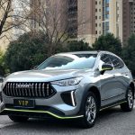 Haval Chitu 2022 Jinxiang Edition 1.5T Copper Rabbit