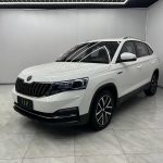 Škoda Kamiq  2021 1,5 л, автоматическая коробка передач, версия Comfort Edition