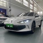 Volkswagen LMANDO L  2022 L 280TSI DSG Super Hot Flagship Edition