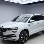 Skoda KAROQ 2023 TSI280 Smart Edition