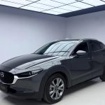 Mazda CX-30 2022 2.0L Automatic Jia Yue Edition