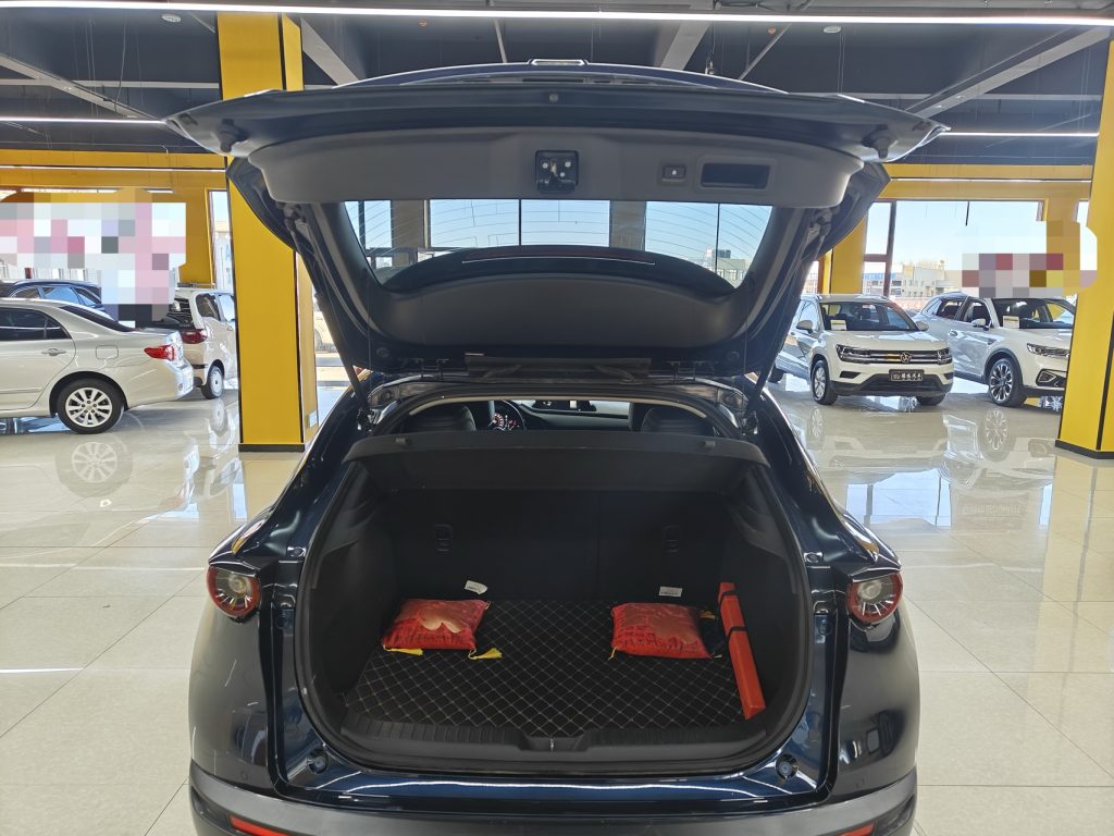 Mazda CX-30 2021 2.0L Automatic Jia Yue Edition - Huishida Trading