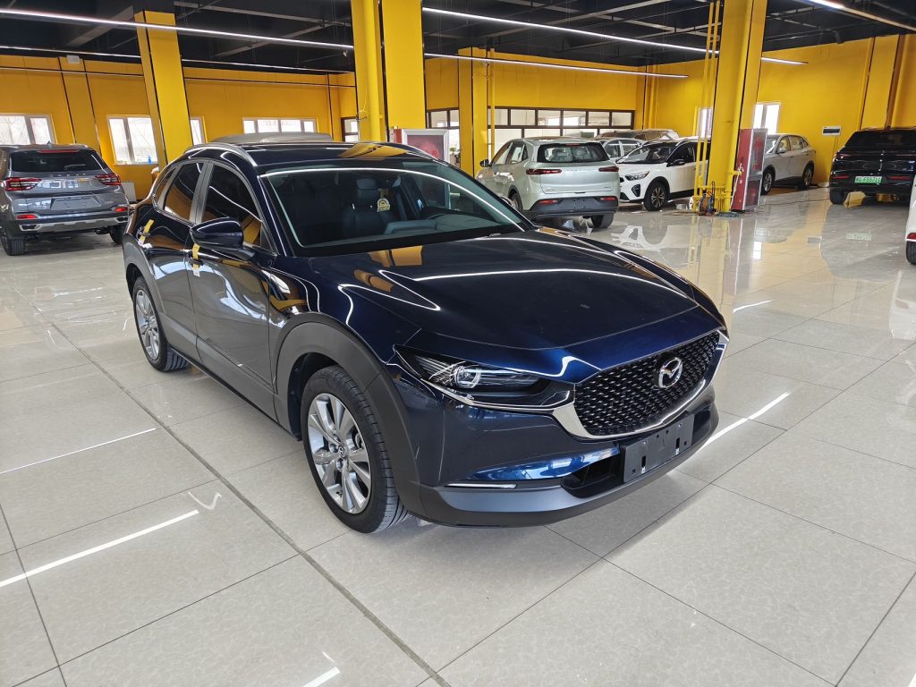 Mazda CX-30 2021 2.0L Automatic Jia Yue Edition - Huishida Trading