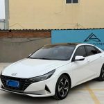 Hyundai Elantra  2022 года  1,5 л CVT GLX Elite Edition