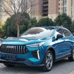 Haval Chitu 2022 Jinxiang Edition 1.5T Copper Rabbit