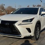 Lexus NX 2020 200 с полным приводом, версия Premium, национальный стандарт выбросов V.