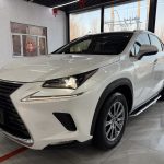 Lexus NX 2020 200 Полный привод Premium Edition National VI