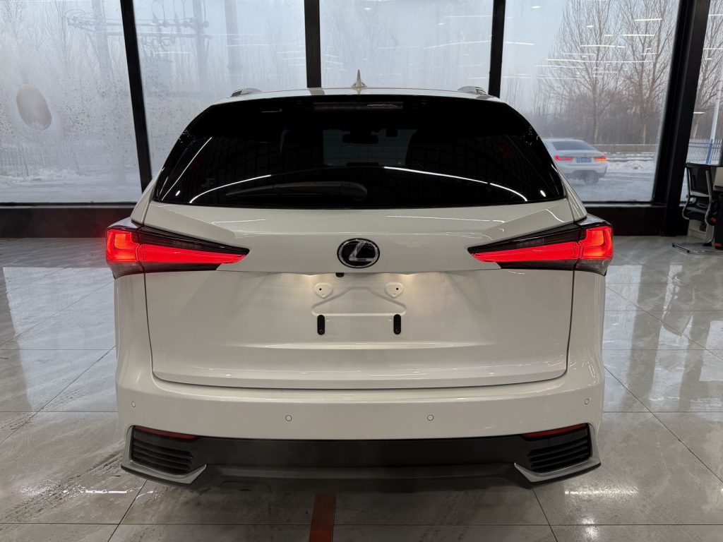 Lexus NX 2020 200 Полный привод Premium Edition National VI - Huishida Trading