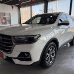 Haval H6 2021 National Trend Edition 1.5T Automatic Champion Version