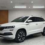 2022 Skoda KAROQ  TSI280 Luxury Edition