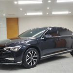 2020 Volkswagen MAGOTAN  280TSI DSG Leading Edition