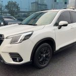 Forester 2022 2.0i AWD Luxury Edition EyeSight