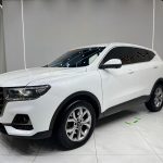 Haval H6 2021 National Trend Edition 1.5T Automatic Champion Version