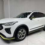 Haval Chitu 2022 Jinxiang Edition 1.5T Copper Rabbit
