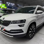 KAROQ 2021 года  TSI280 Luxury Edition