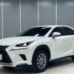 Lexus NX200  2020 года  Двухколесный привод Drive Edition