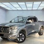 Poer  Pickup 2023 2.0T Пассажирская версия Автоматическая бензиновая 4WD Premium Edition GW4C20B