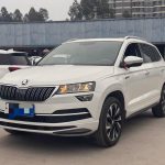 Karoq  2025 Model TSI280 Luxury Edition