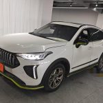 Haval LHERY  2022 Jinxiang Edition 1.5T Copper Rabbit