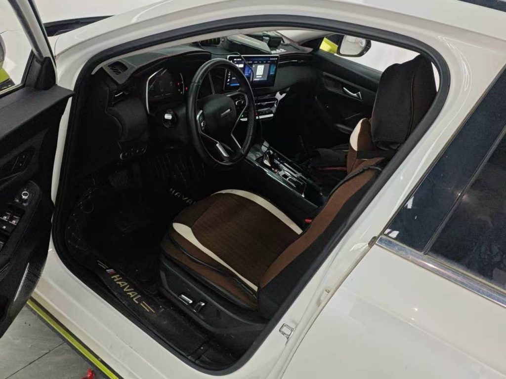 Haval LHERY 2022 Jinxiang Edition 1.5T Copper Rabbit - Huishida Trading