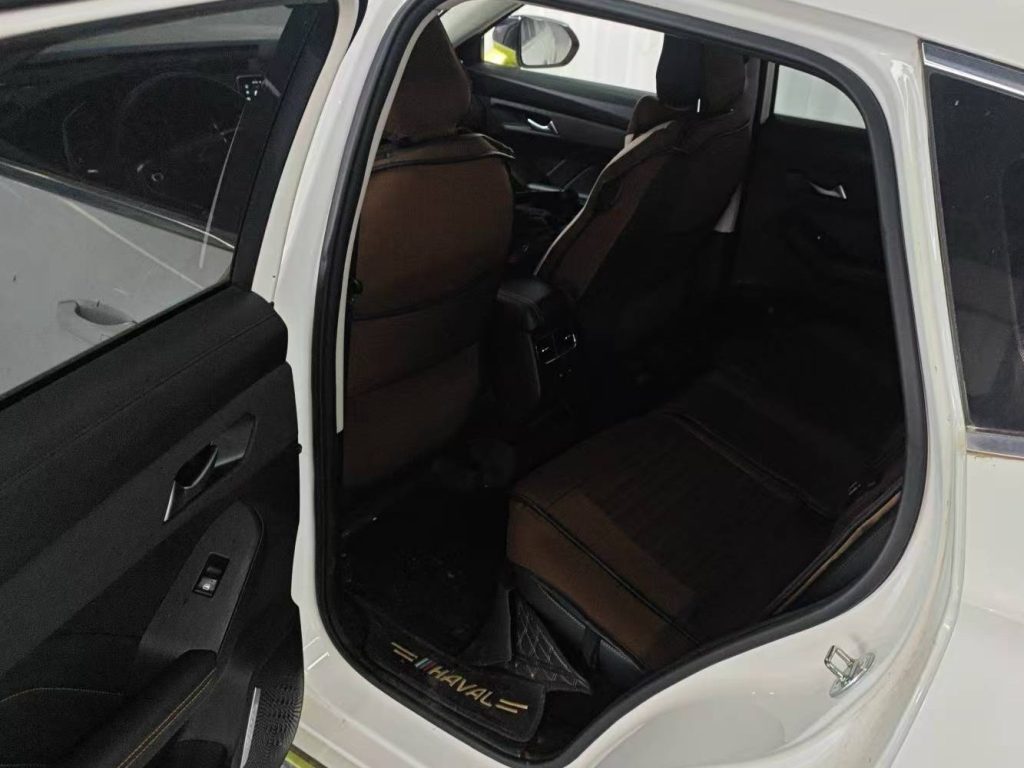 Haval LHERY 2022 Jinxiang Edition 1.5T Copper Rabbit - Huishida Trading