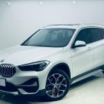 2022 BMW X1  sDrive20Li Fashion Edition