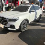 Haval H6  2021 National Trend Edition 1.5T Automatic Champion Version