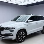 Škoda Karoq  2025 TSI280 Luxury Edition