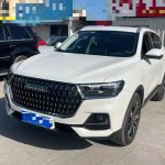 Haval H6  2023 National Trend Edition 1.5T Automatic Champion Version