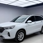 Haval M6  2023 Model PLUS 1.5T DCT Luxury Smart Connect Edition