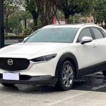 Mazda CX-30  2021 Model 2.0L Automatic Jia Yue Trim