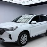 Haval M6  2023 PLUS 1.5T DCT, версия «Luxury Smart Connect»