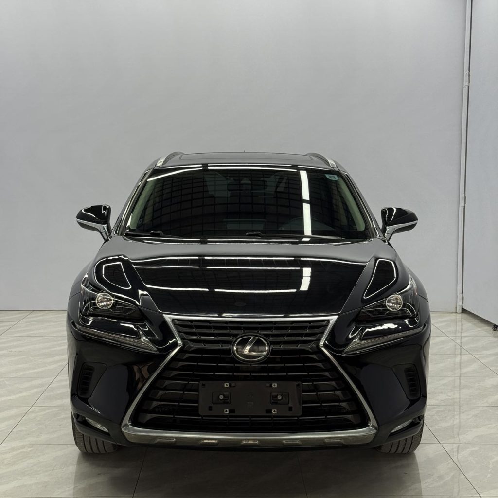 Lexus NX 2020 г. 200 Полный привод Версия «Fengshang» Стандарт China VI - Huishida Trading