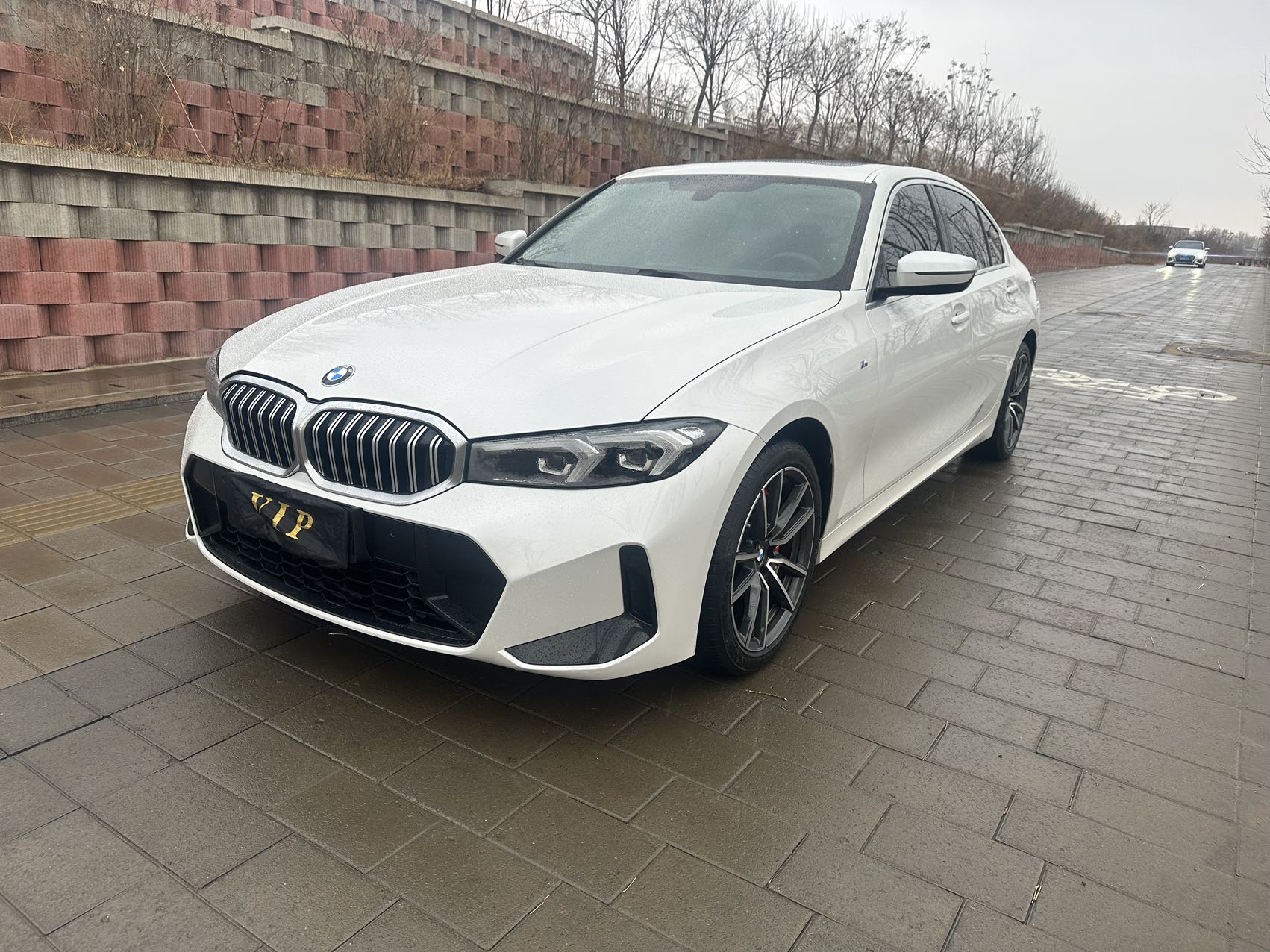 BMW 3 серии   2023 модельный год  320Li M Sport