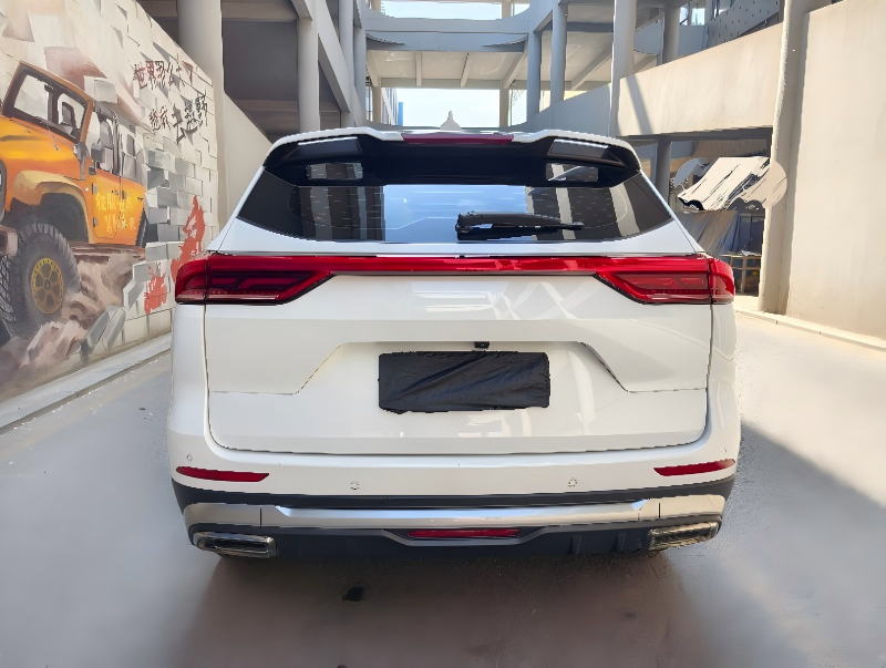 Haval H6 2021 года выпуска, 1.5T, версия «Guochao Champion» - AUTO STAR