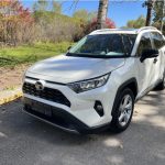 Toyota RAV4 Malibu 2020 Twin Engine 2.5LCVT 2WD Elite